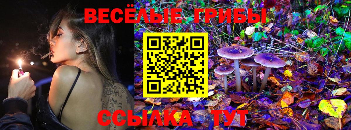 Галлюциногенные грибы прущие грибы Симферополь