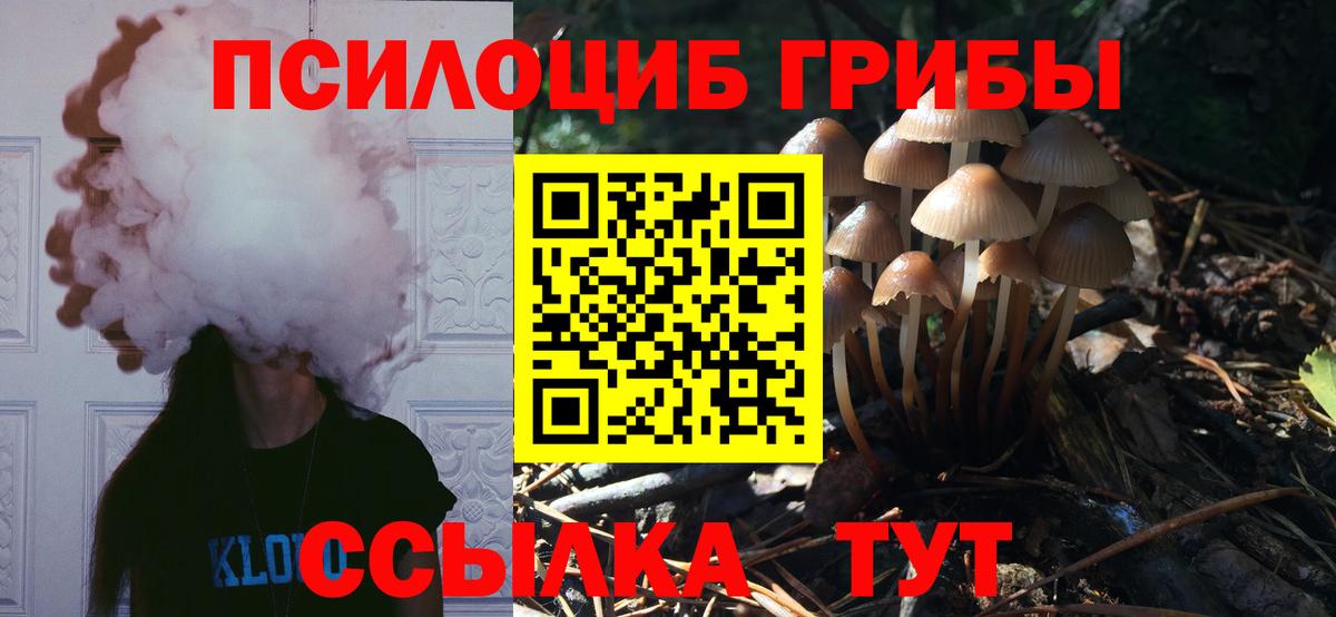 Галлюциногенные грибы мицелий  Вход с VPN  Симферополь 